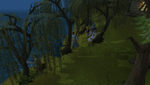 runescape gold sell DraynorWillowTrees